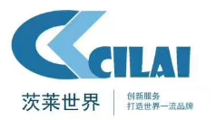 IWAKI计量泵